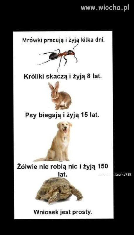 Wniosek nasuwa się sam 