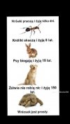 Wniosek nasuwa się sam 
