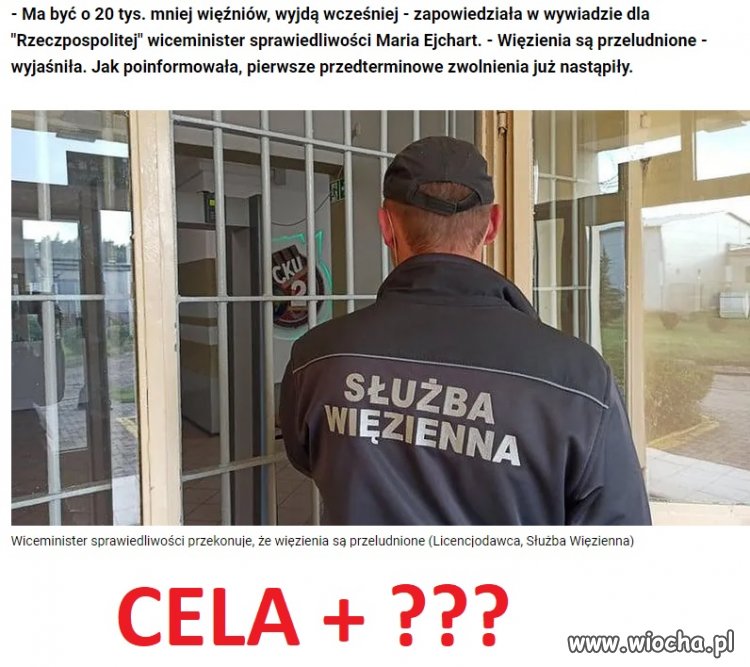 Cela + w przygotowaniu 