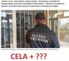 Cela + w przygotowaniu 