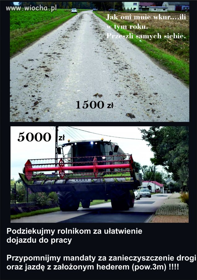 Stonka
