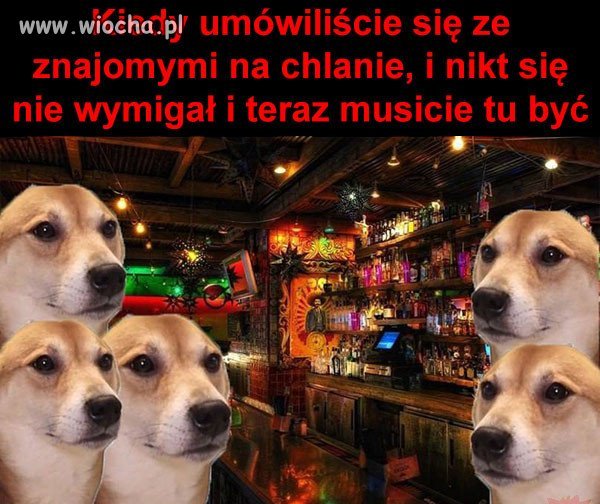 Nie tak miało być...