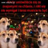 Nie tak miało być...