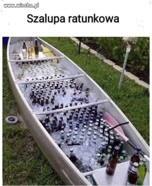 Trafna nazwa