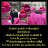 Słowo na niedzielę ...