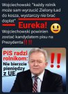Wielki pisowski oświecony