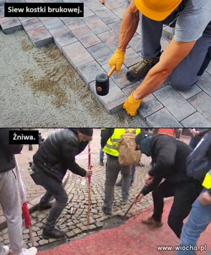 Dla nieobeznanych z rolnictwem: