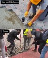 Dla nieobeznanych z rolnictwem:
