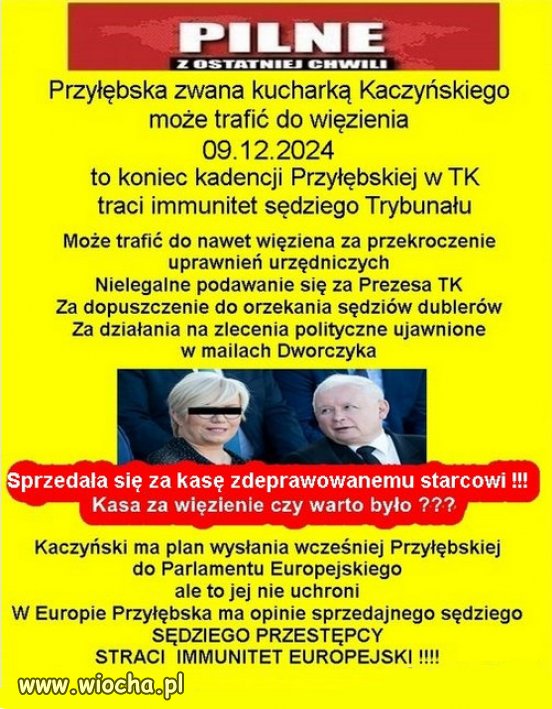 PiS to nie ludzie to ideologia, kłamstwa, złodziejstwa i chamstwa!