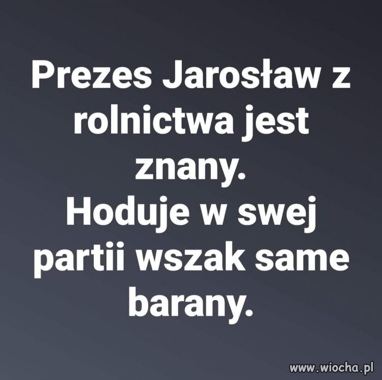 Jarosław Kaczyński - znany rolnik wolski ...