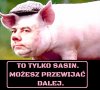 Jest i on