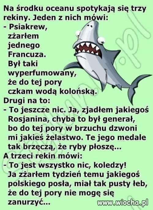 Spokojnego dnia...