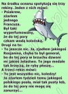 Spokojnego dnia...