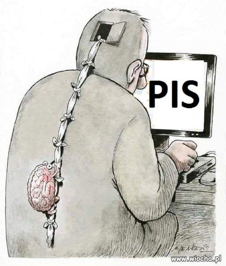 Następuje odmóżdżenie... 