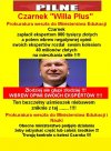 Coraz bardziej podobają mi się akcje prokuratury 