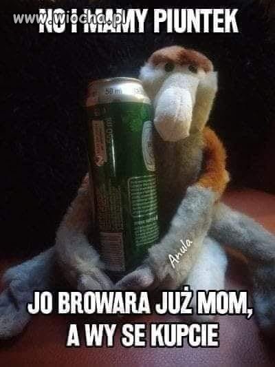 Rada dnia.