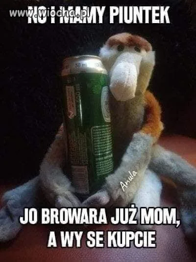Rada dnia.