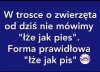 Forma prawidłowa