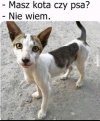 Na poprawę humoru 