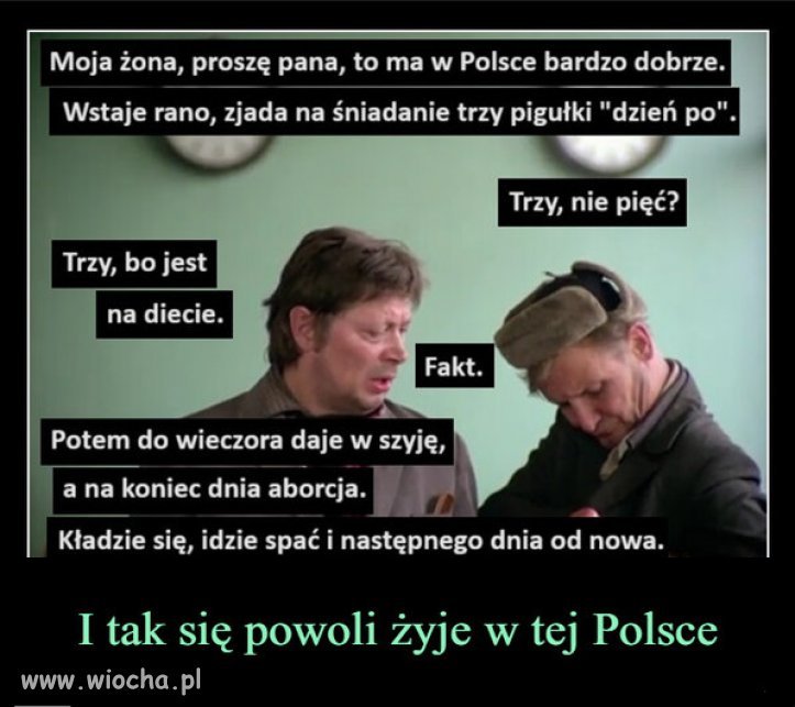 Zwyczajny dzień Polki wg Andrzeja Dudy i reszty bandy PiSu!