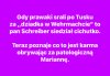 Tylko, że dziadek Tuska to Polak
