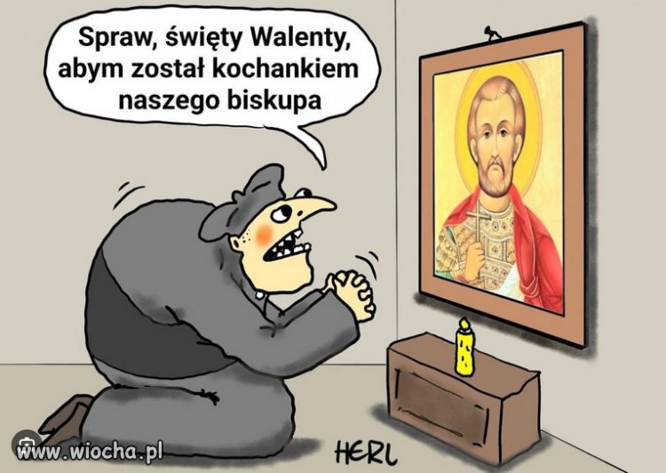 Kapłaństwo staje się zawodem gejowskim...