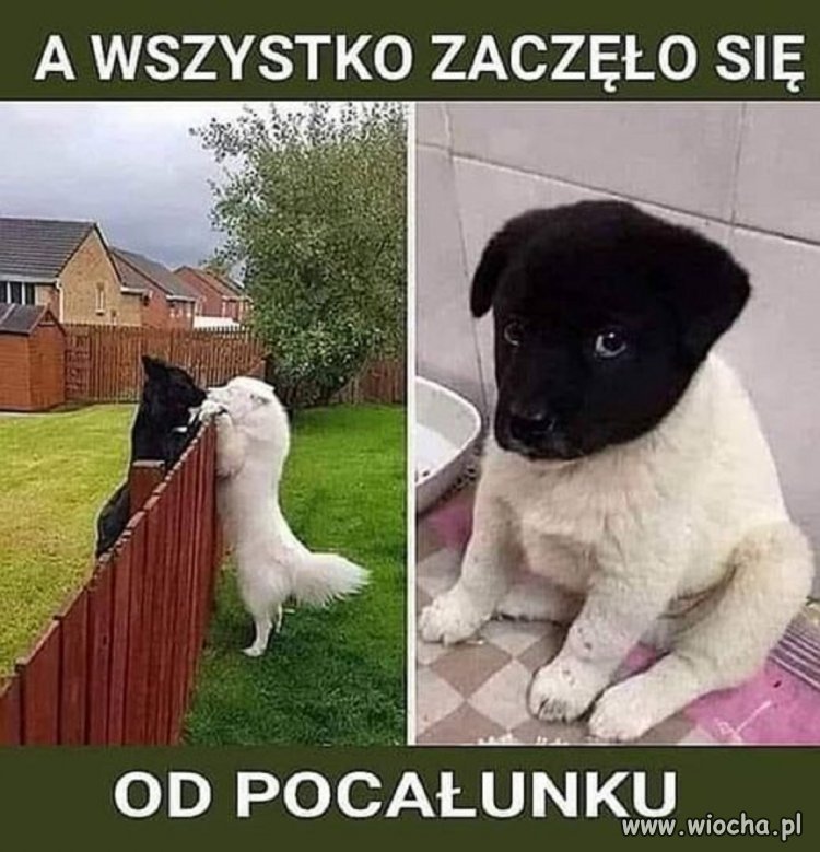 ...na luzie...bez polityki