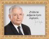 Małpa w czerwonym ciągle ewoluuje 