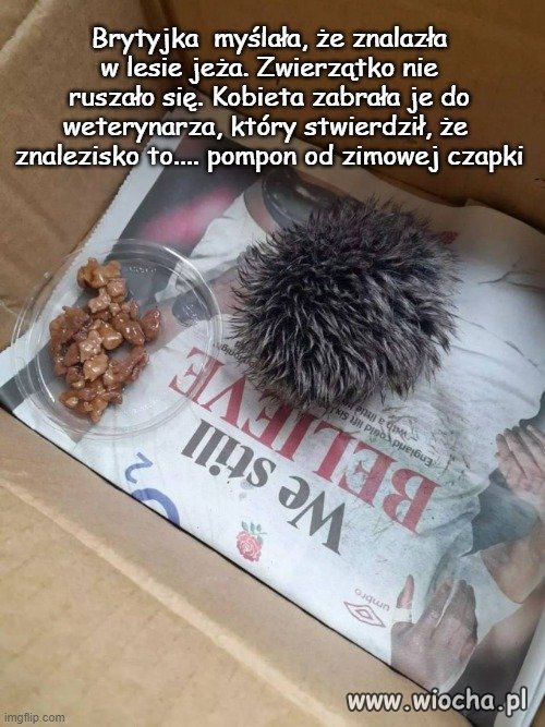 Może niezbyt bystra,