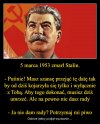 Świetny pomysł !