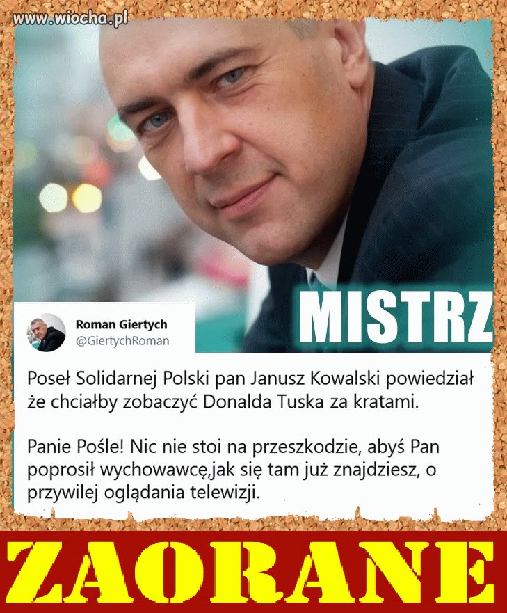 Romek jak zawsze celnie