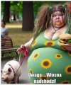 Wiosna...