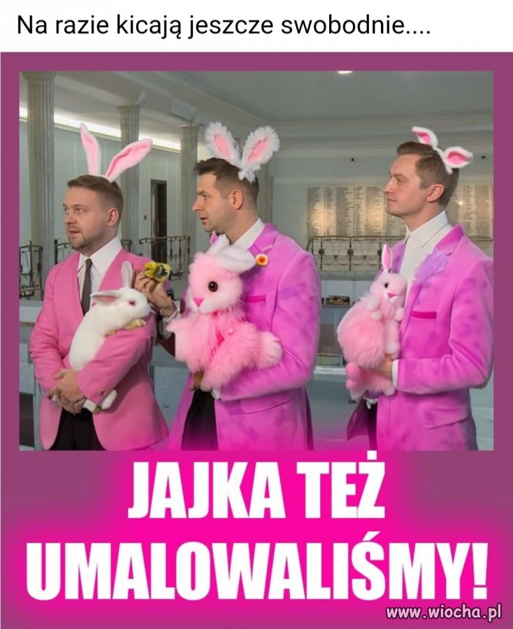 Pisowskie pedały 
