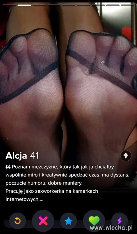 Alicja szuka 