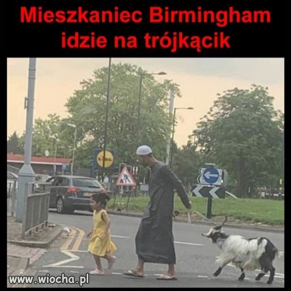Rodowity Angol