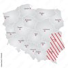 Prognoza wskazuje, że z obecnych siedmiu sejmików 