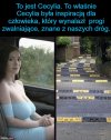 Nie tylko poeci mają swoje Muzy.