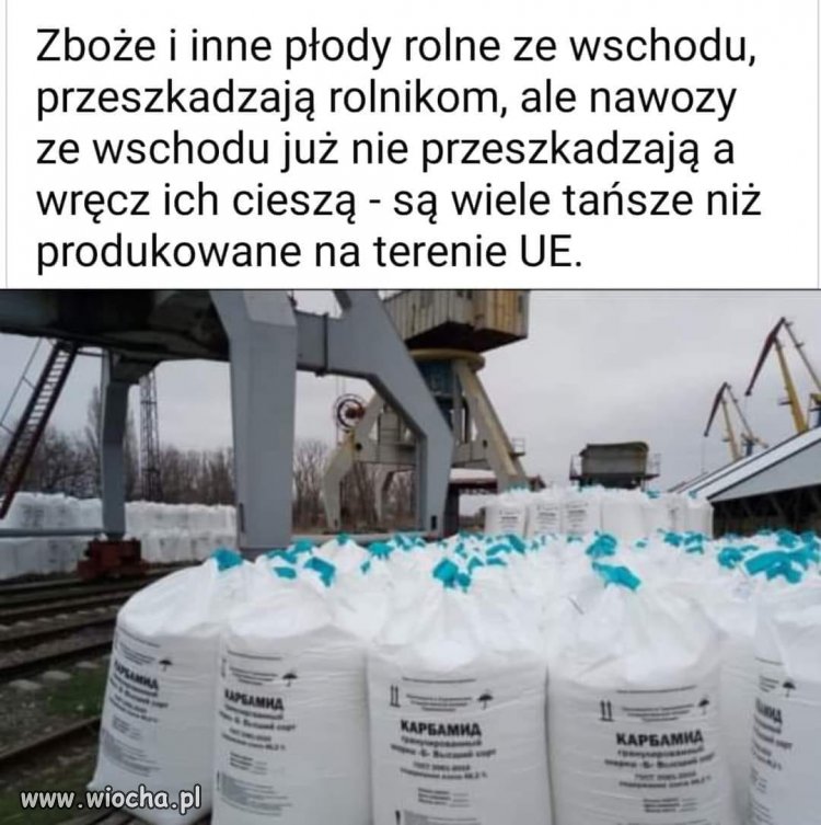 Ino dutki się liczą