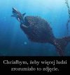 80 % nierobów, ma siłe przegłosować