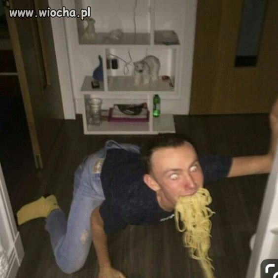 Studenckie żarcie