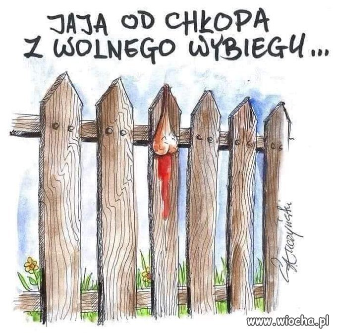 Czy popierasz protest rolników ?