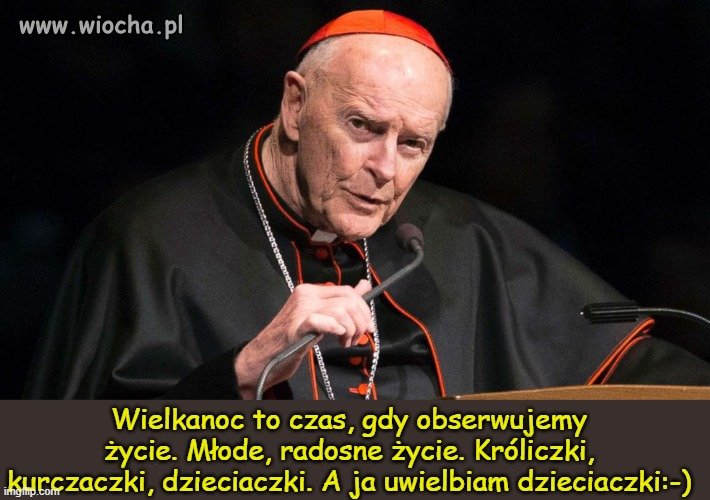 Ten radosny błysk