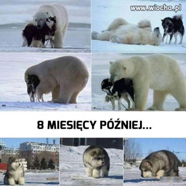 Tylko tu zostawię
