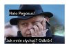 Pogaduszki Suskiego ...
