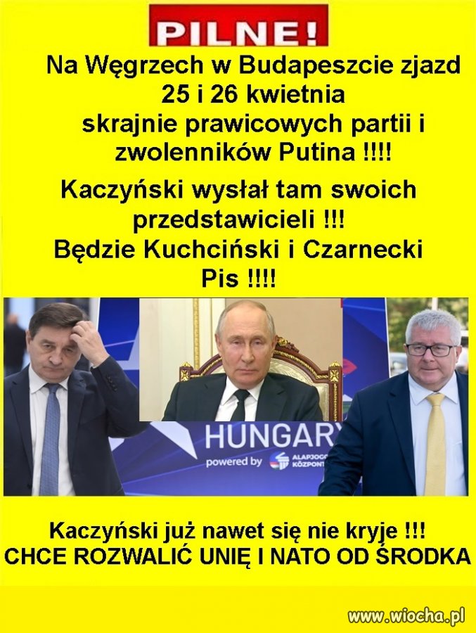 Putinsyny wszystkich krajów, łączcie się !