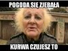 Pogoda.