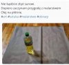 Pierwsze próby 