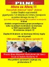 Dzien bez ujawnienia nowej afery PiSu, to dzień stracony...