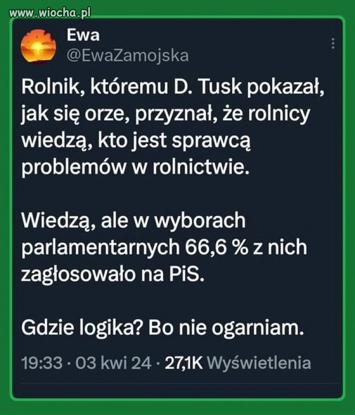 Logika bambrów
