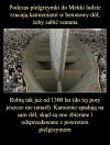 Najlepszy biznes robi się na religii i głupocie ..